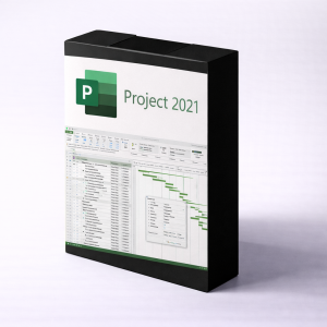Microsoft Project Professional