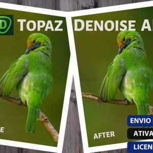 Topaz DeNoise AI 5 topaz denoise ai review cover 1160x700 1 1